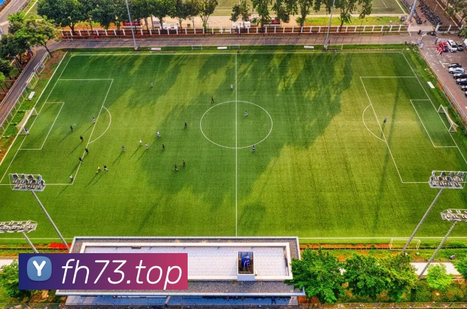 互动解说服务